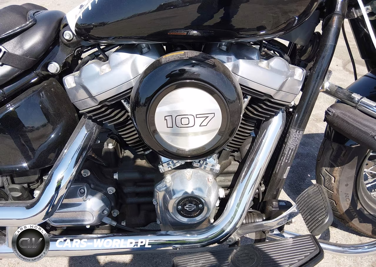 2020 Harley-Davidson Flsl VIN:1HD1YDJ12LB066830 - 8