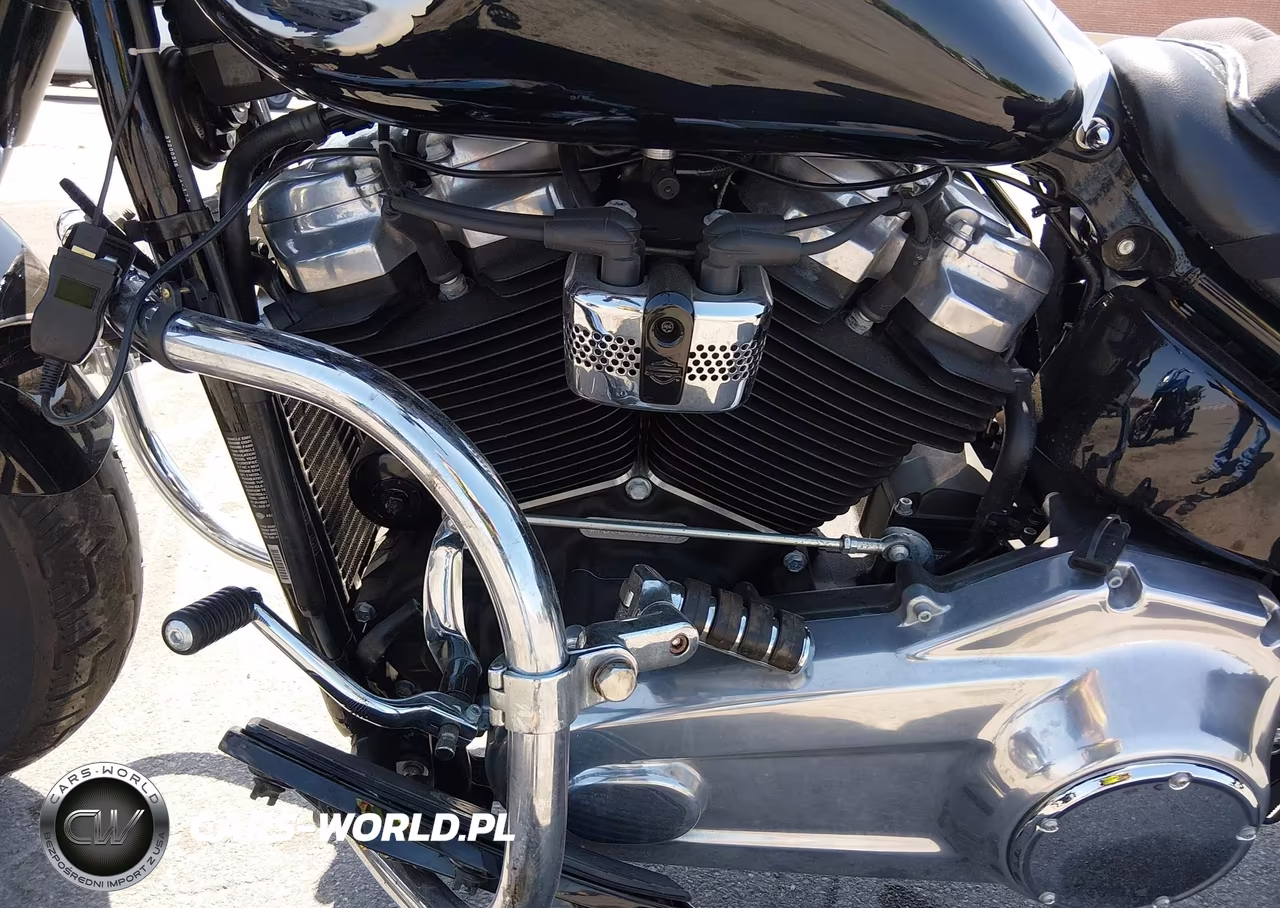 2020 Harley-Davidson Flsl VIN:1HD1YDJ12LB066830 - 9
