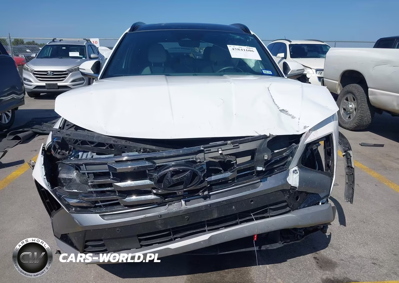 2025 Hyundai Tucson Limited VIN:5NMJE3DE6SH544650 - 6
