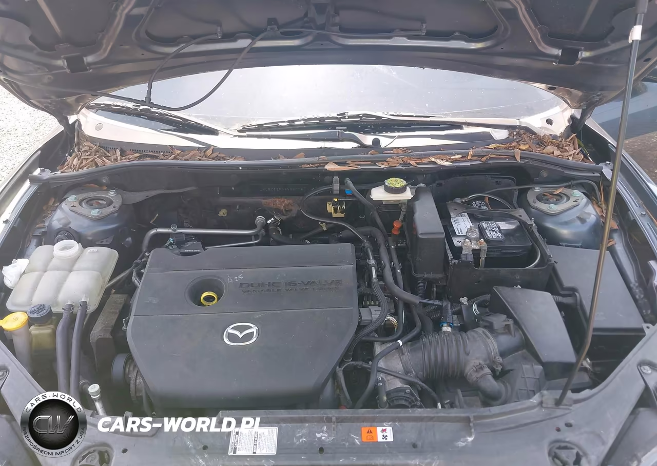 2009 Mazda Mazda3 I VIN:JM1BK32F091207727 - 10