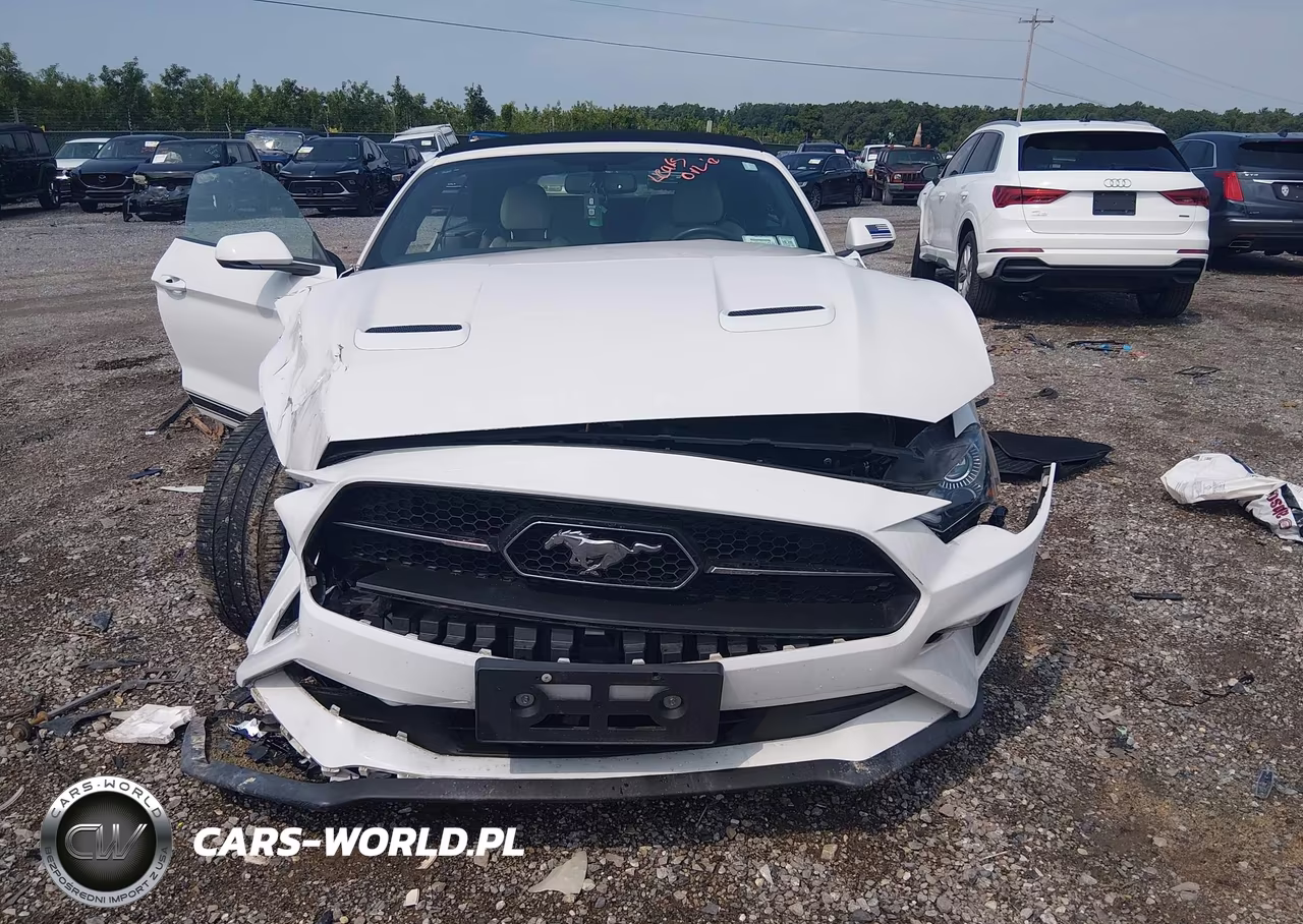 2020 Ford Mustang Ecoboost Premium VIN:1FATP8UH5L5149136 - 12