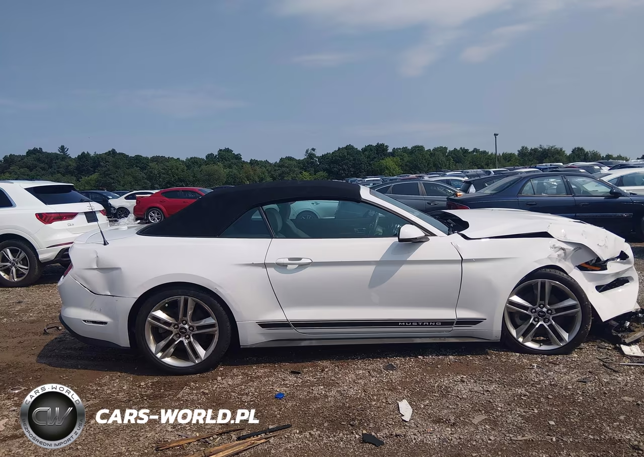 2020 Ford Mustang Ecoboost Premium VIN:1FATP8UH5L5149136 - 13