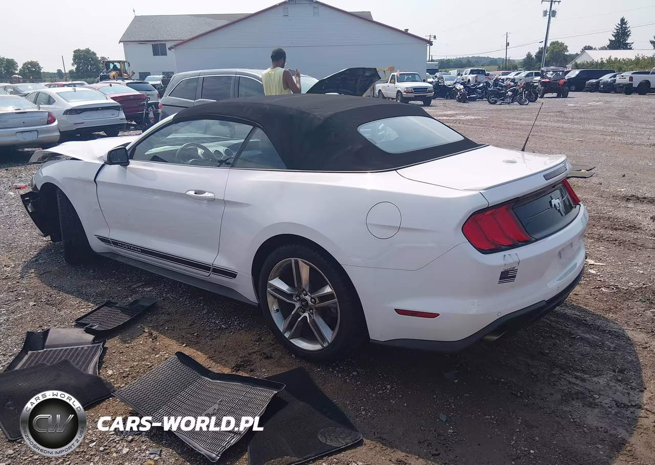 2020 Ford Mustang Ecoboost Premium VIN:1FATP8UH5L5149136 - 3