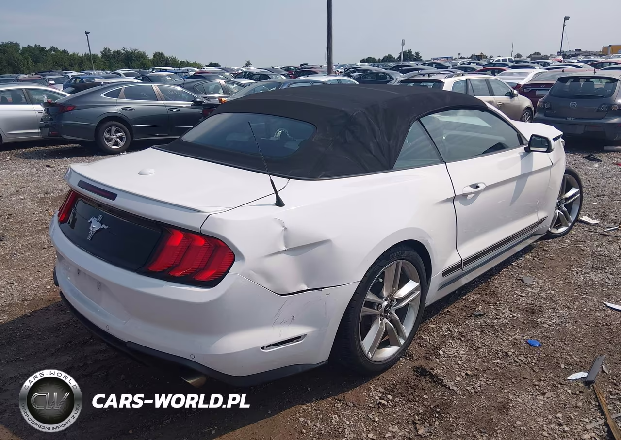 2020 Ford Mustang Ecoboost Premium VIN:1FATP8UH5L5149136 - 4