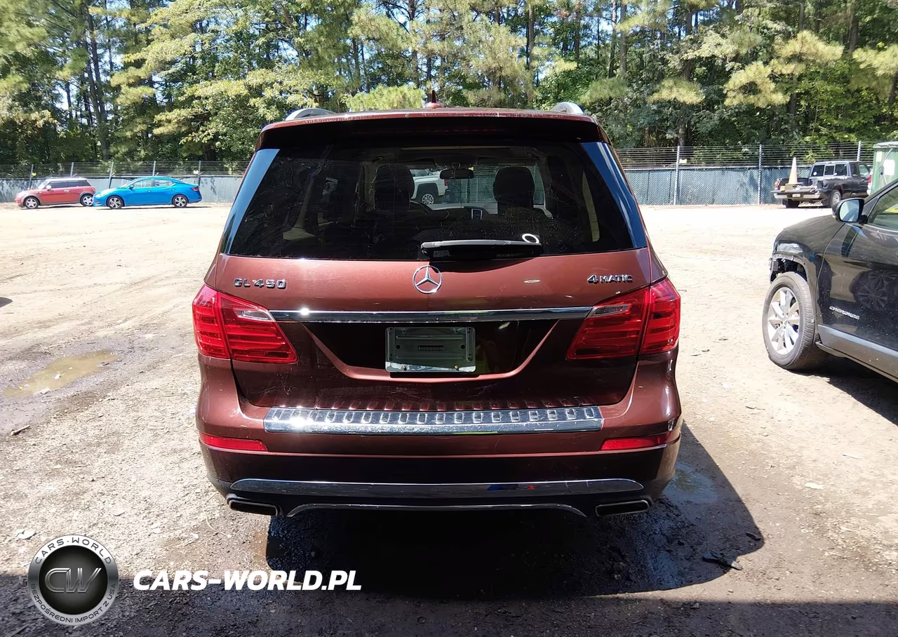 2013 Mercedes-Benz Gl 450 4Matic VIN:4JGDF7CE7DA175731 - 17