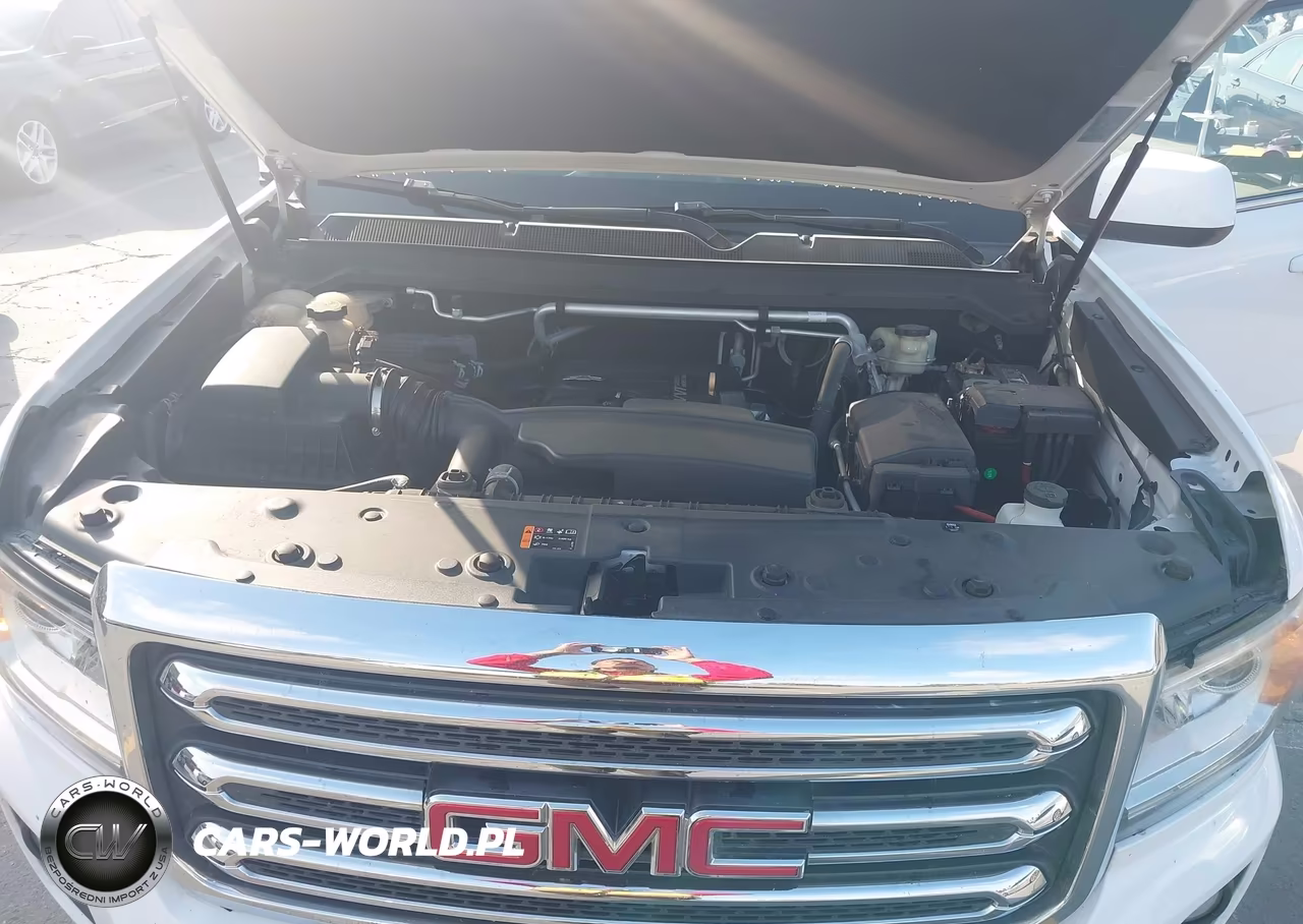 2016 GMC Canyon 2Wd Sle VIN:1GTH5CEA1G1371146 - 10