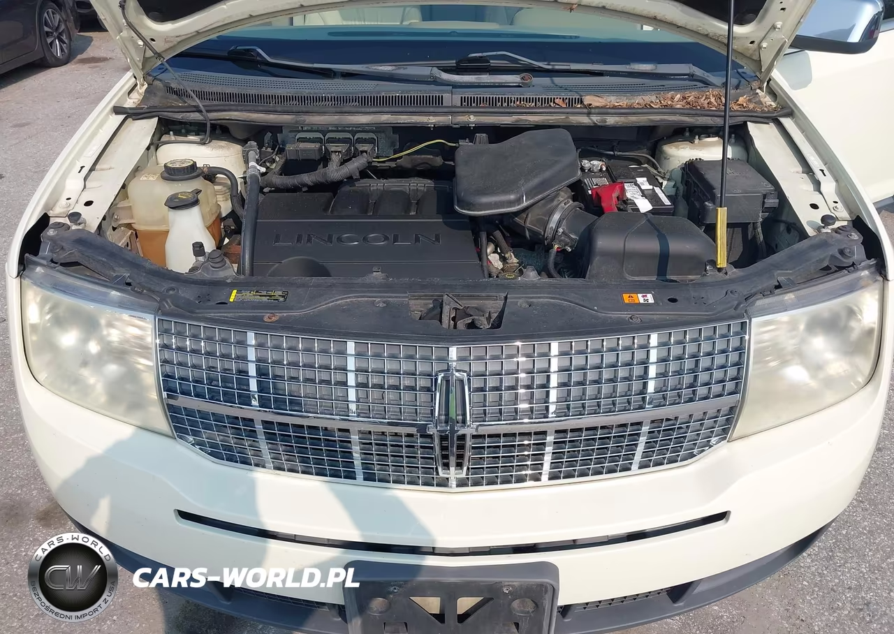2007 Lincoln Mkx VIN:2LMDU88C37BJ33461 - 10