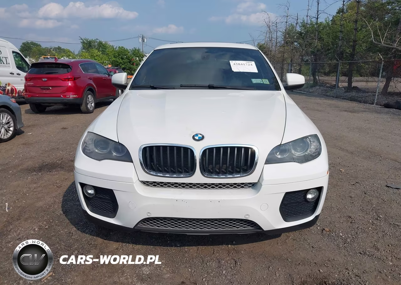 2014 BMW X6 xDrive35I VIN:5UXFG2C56E0K41656 - 12
