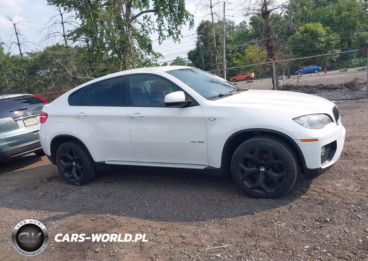 2014 BMW X6 xDrive35I VIN:5UXFG2C56E0K41656 - 13