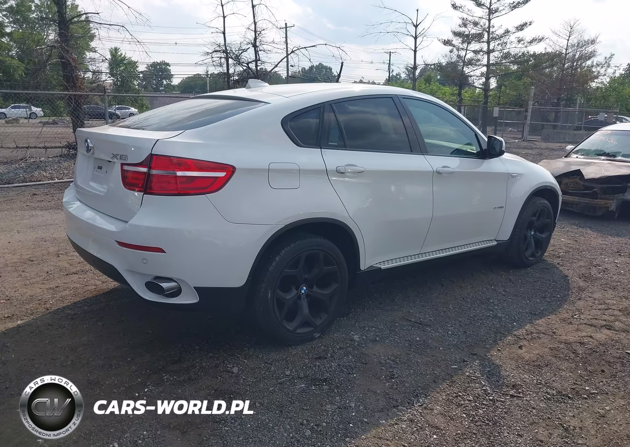 2014 BMW X6 xDrive35I VIN:5UXFG2C56E0K41656 - 4