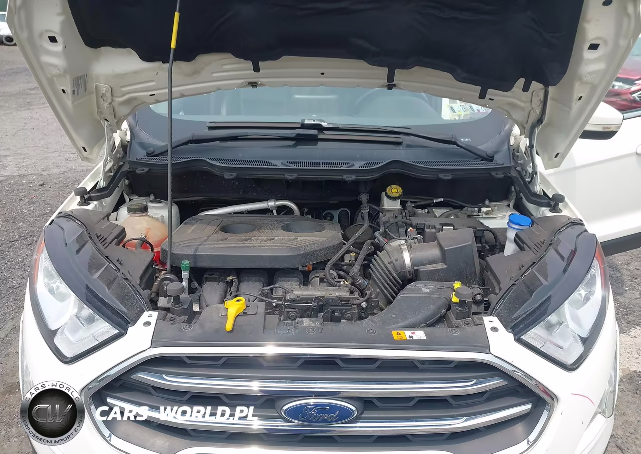 2021 Ford Ecosport Titanium VIN:MAJ6S3KL1MC427985 - 10