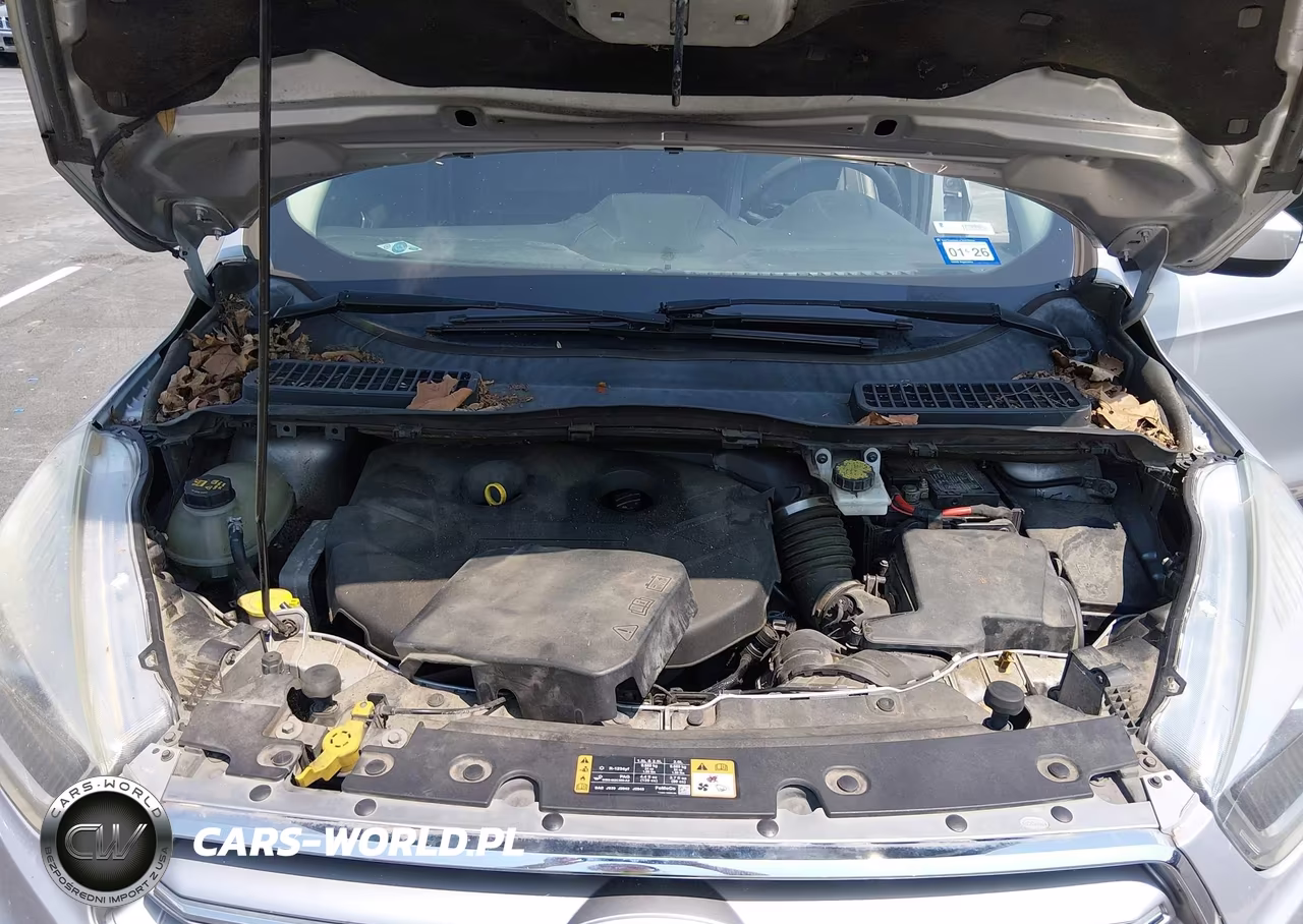 2017 Ford Escape Se VIN:1FMCU0G98HUB79507 - 10
