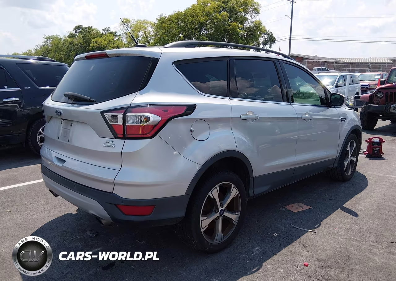 2017 Ford Escape Se VIN:1FMCU0G98HUB79507 - 4
