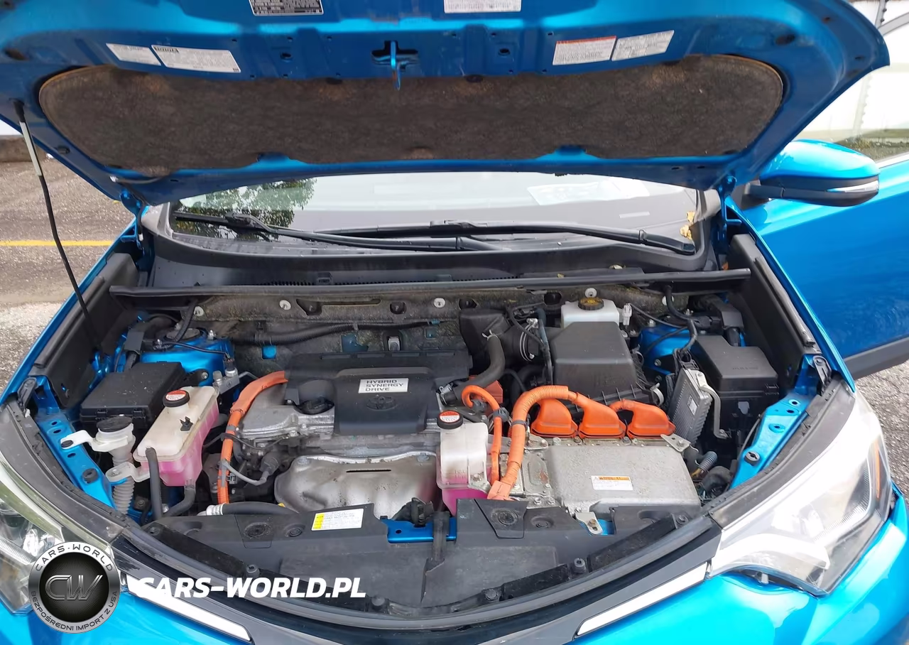 2016 Toyota Rav4 Hybrid Limited VIN:JTMDJREV4GD027065 - 10