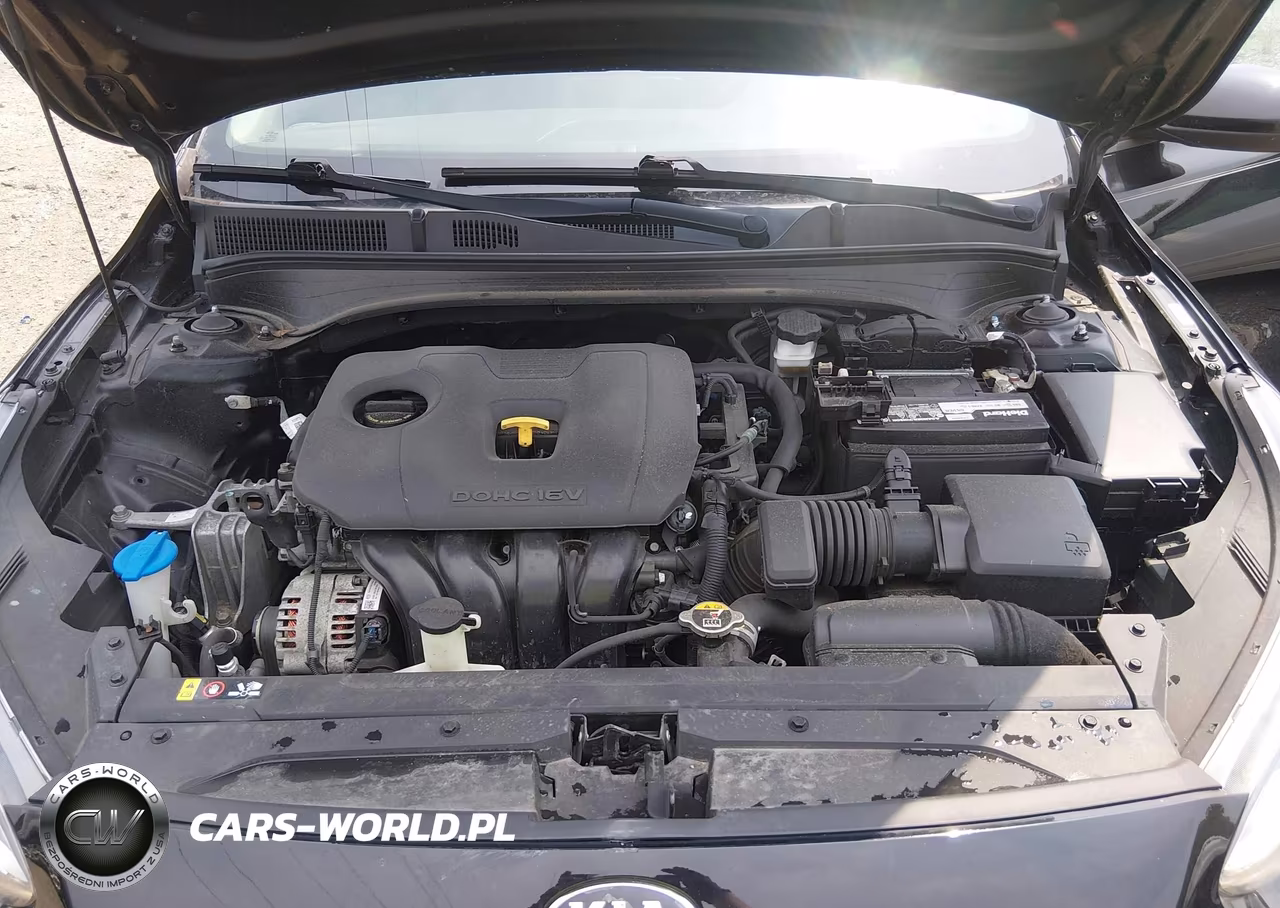 2019 Kia Forte S VIN:3KPF34AD7KE013963 - 10