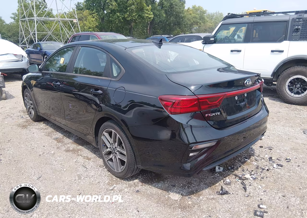 2019 Kia Forte S VIN:3KPF34AD7KE013963 - 3