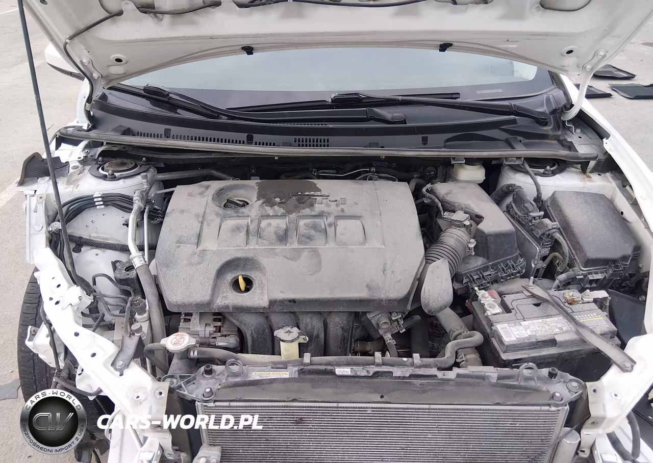 2019 Toyota Corolla Le VIN:2T1BURHE6KC162922 - 10