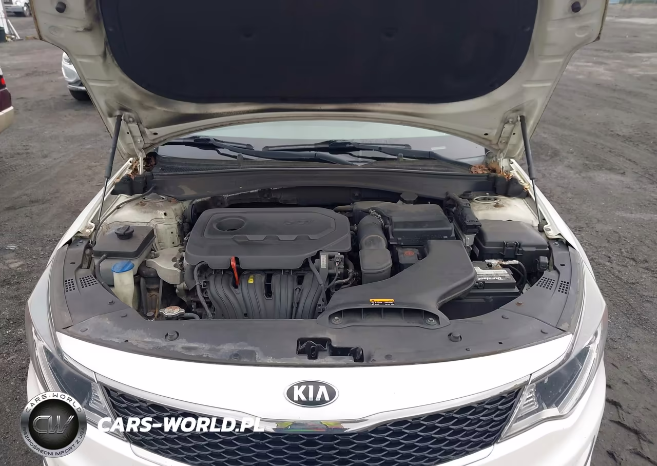 2016 Kia Optima Lx VIN:KNAGT4L34G5086961 - 10