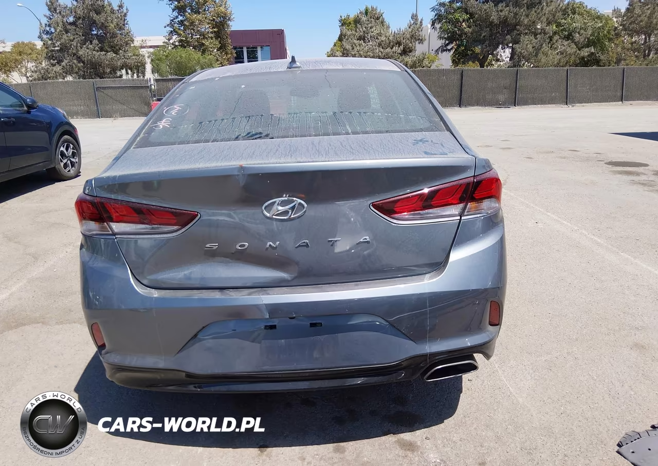 2019 Hyundai Sonata Sel VIN:5NPE34AF7KH770273 - 17