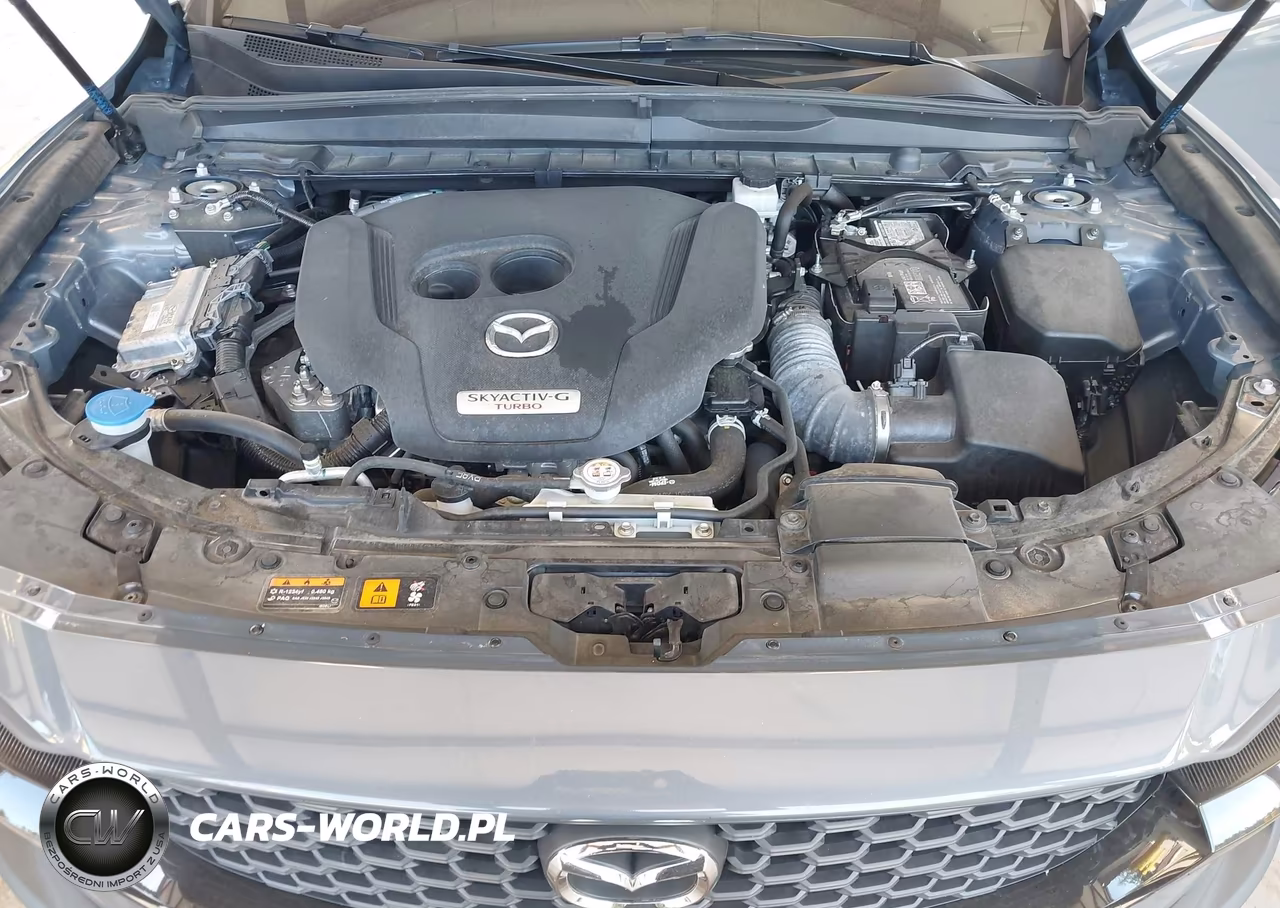 2023 Mazda Cx-50 2.5 Turbo Meridian Edition VIN:7MMVABXY5PN121503 - 10