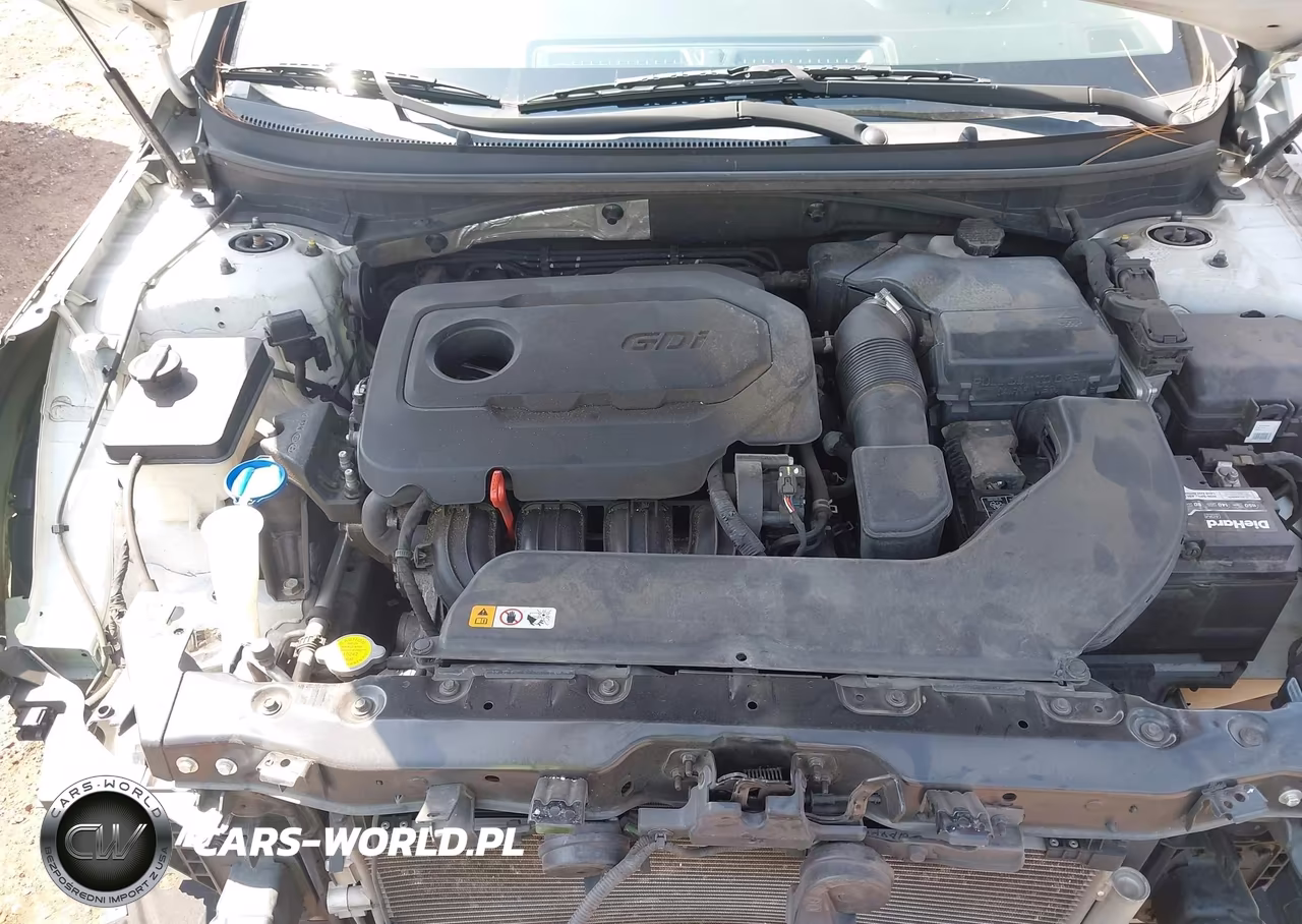 2016 Hyundai Sonata Se VIN:5NPE24AF9GH260615 - 10