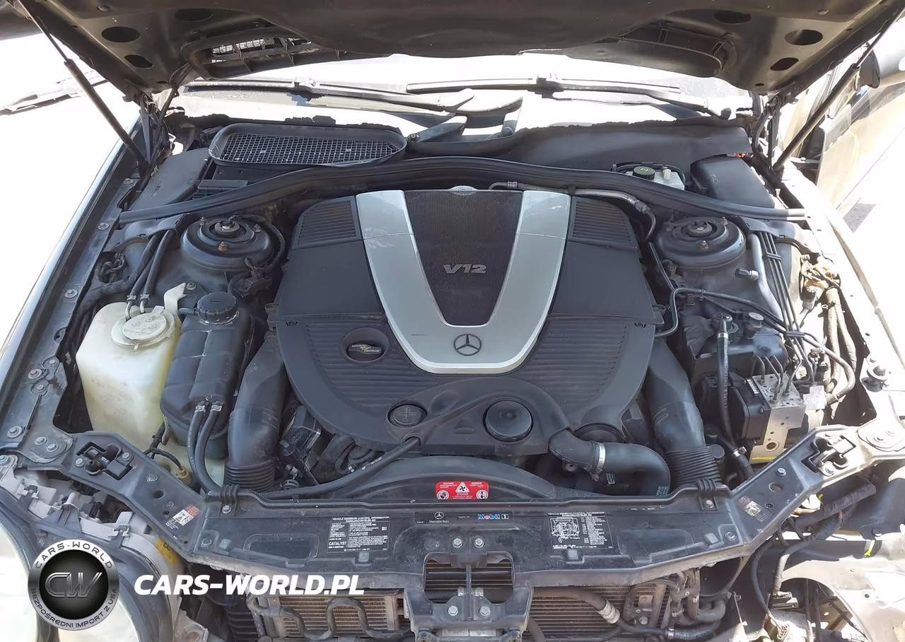 2004 Mercedes-Benz Cl 600 VIN:WDBPJ76J34A040043 - 10