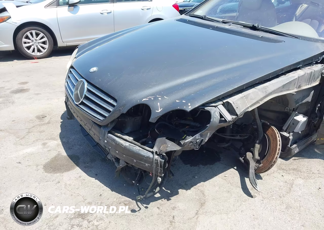 2004 Mercedes-Benz Cl 600 VIN:WDBPJ76J34A040043 - 6