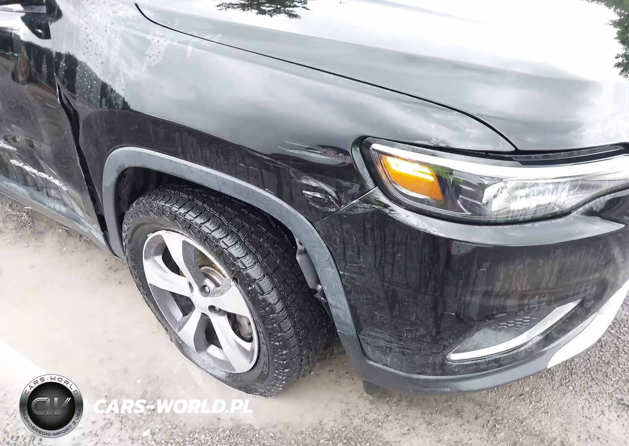 2019 Jeep Cherokee Limited 4X4 VIN:1C4PJMDXXKD491490 - 17