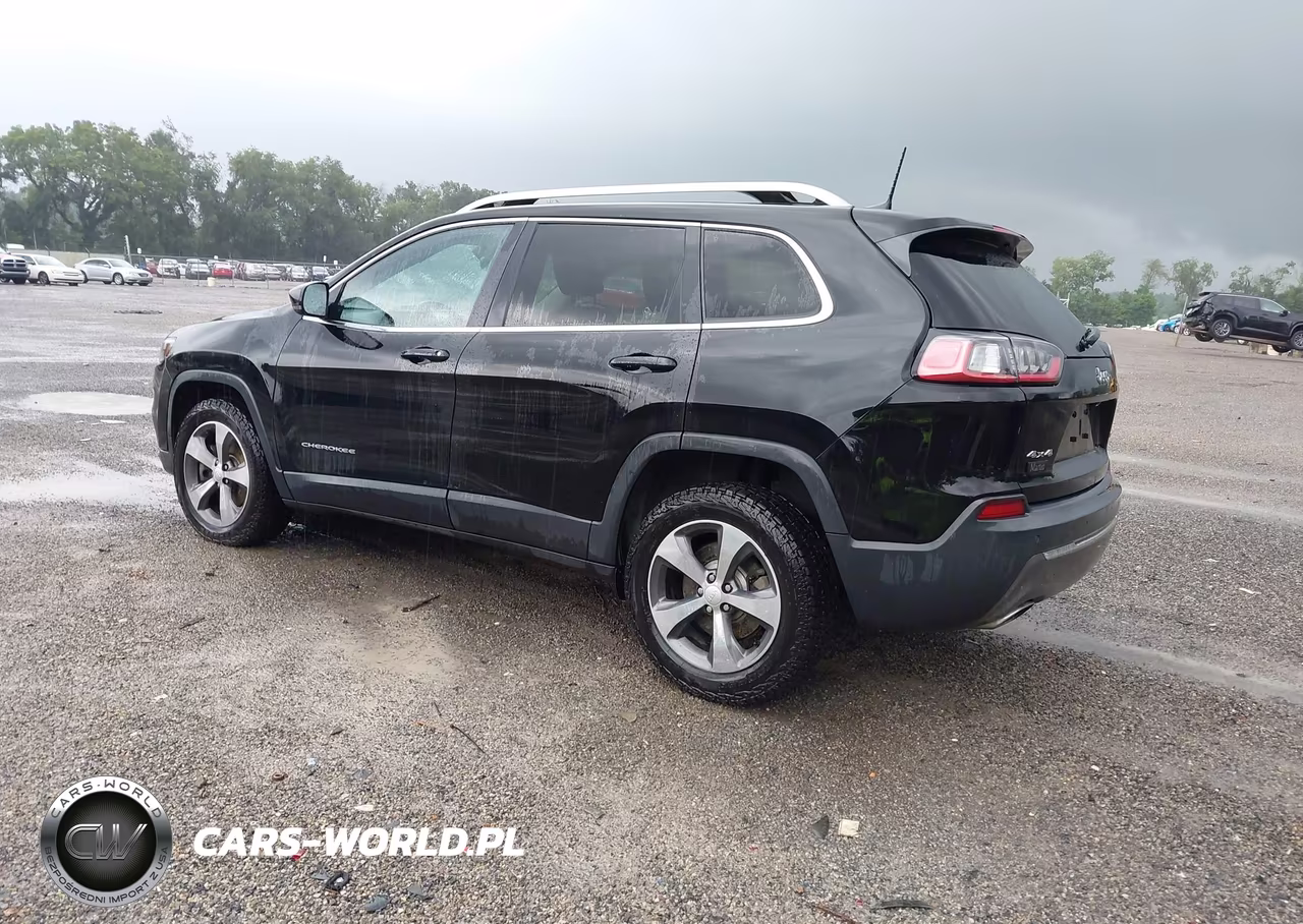 2019 Jeep Cherokee Limited 4X4 VIN:1C4PJMDXXKD491490 - 3