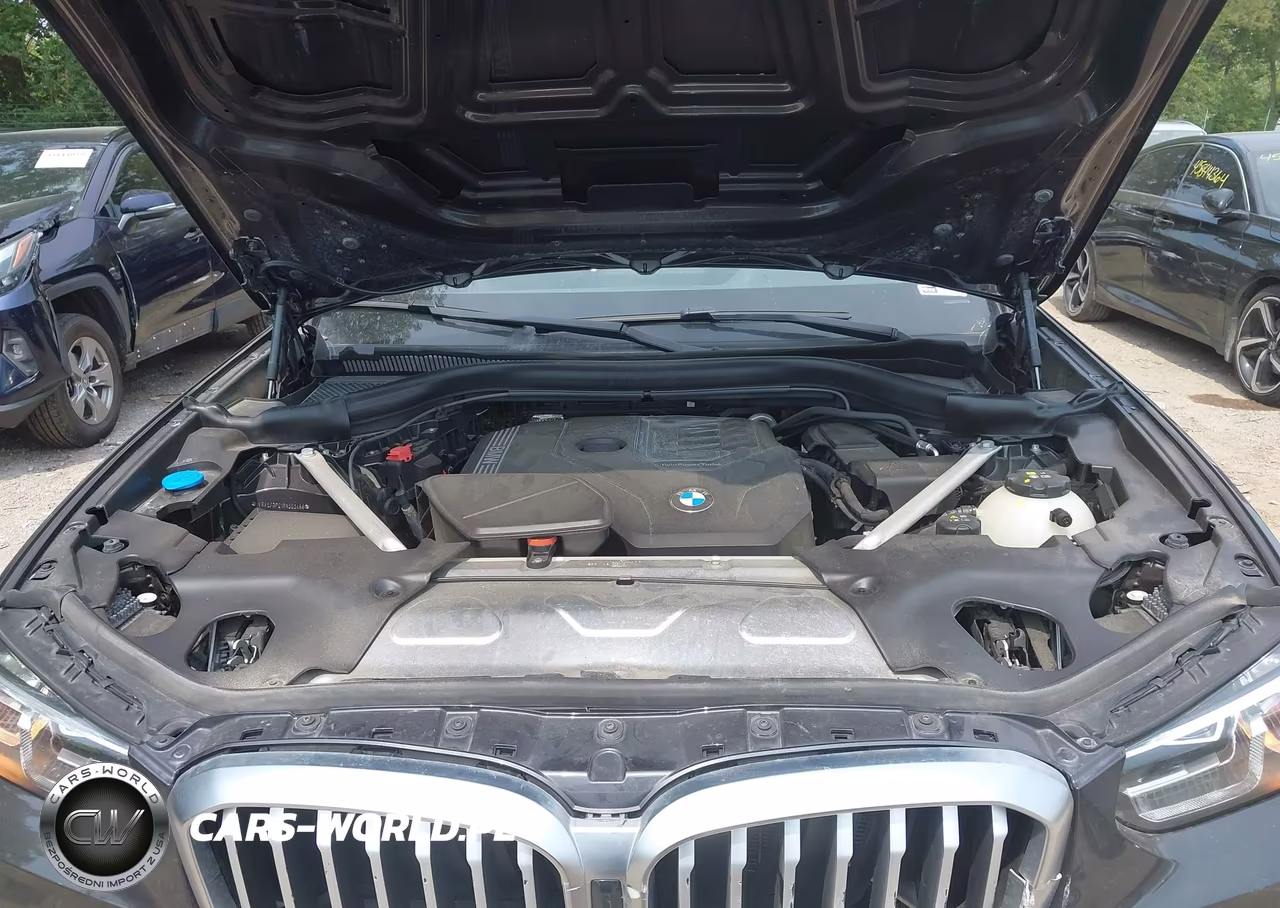 2024 BMW X3 xDrive30I VIN:WBX57DP01RN303466 - 10