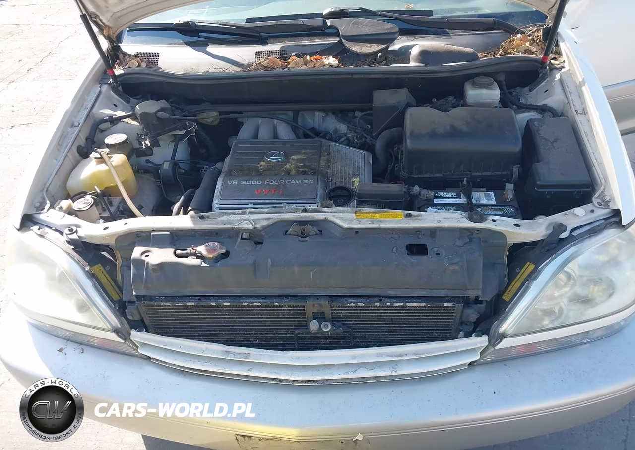2002 Lexus Rx 300 VIN:JTJHF10U720251768 - 10