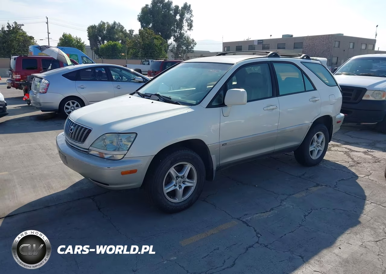 2002 Lexus Rx 300 VIN:JTJHF10U720251768 - 2