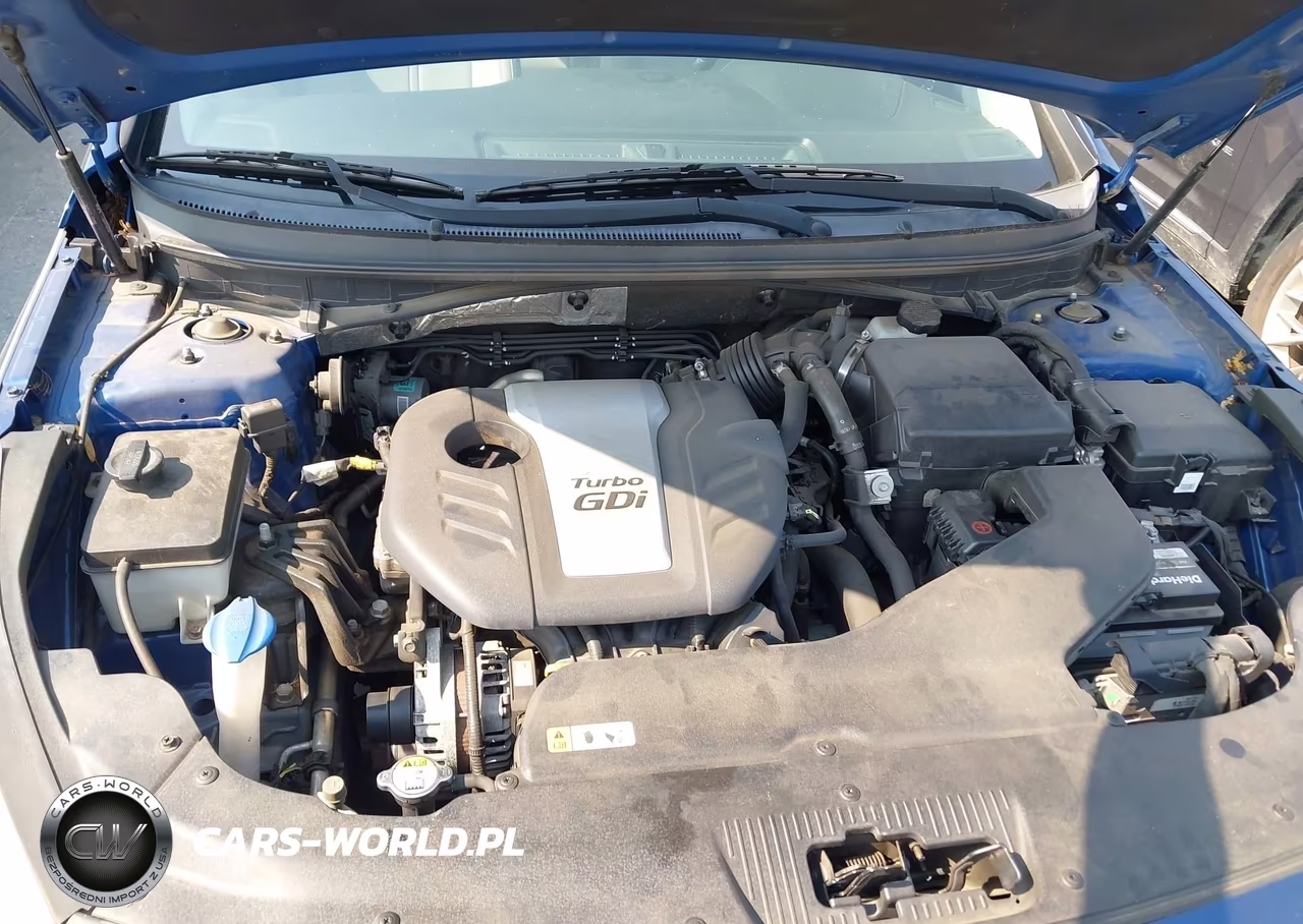 2015 Hyundai Sonata Eco VIN:5NPE24AA6FH152701 - 10