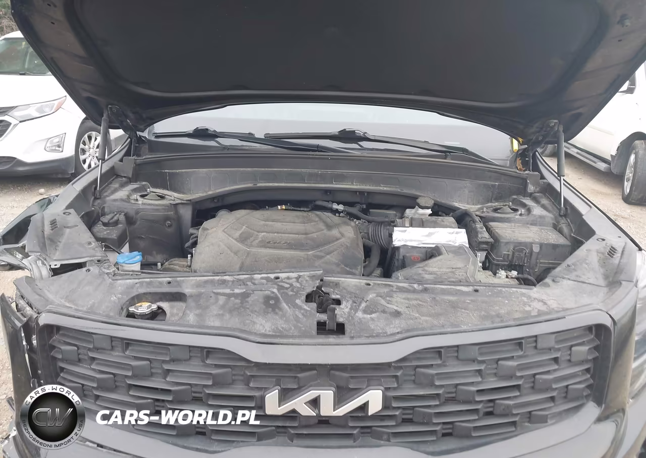 2022 Kia Telluride Ex VIN:5XYP3DHC9NG197604 - 10