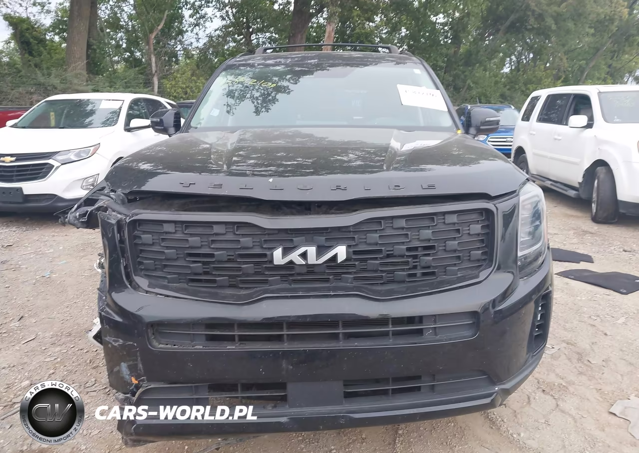 2022 Kia Telluride Ex VIN:5XYP3DHC9NG197604 - 13
