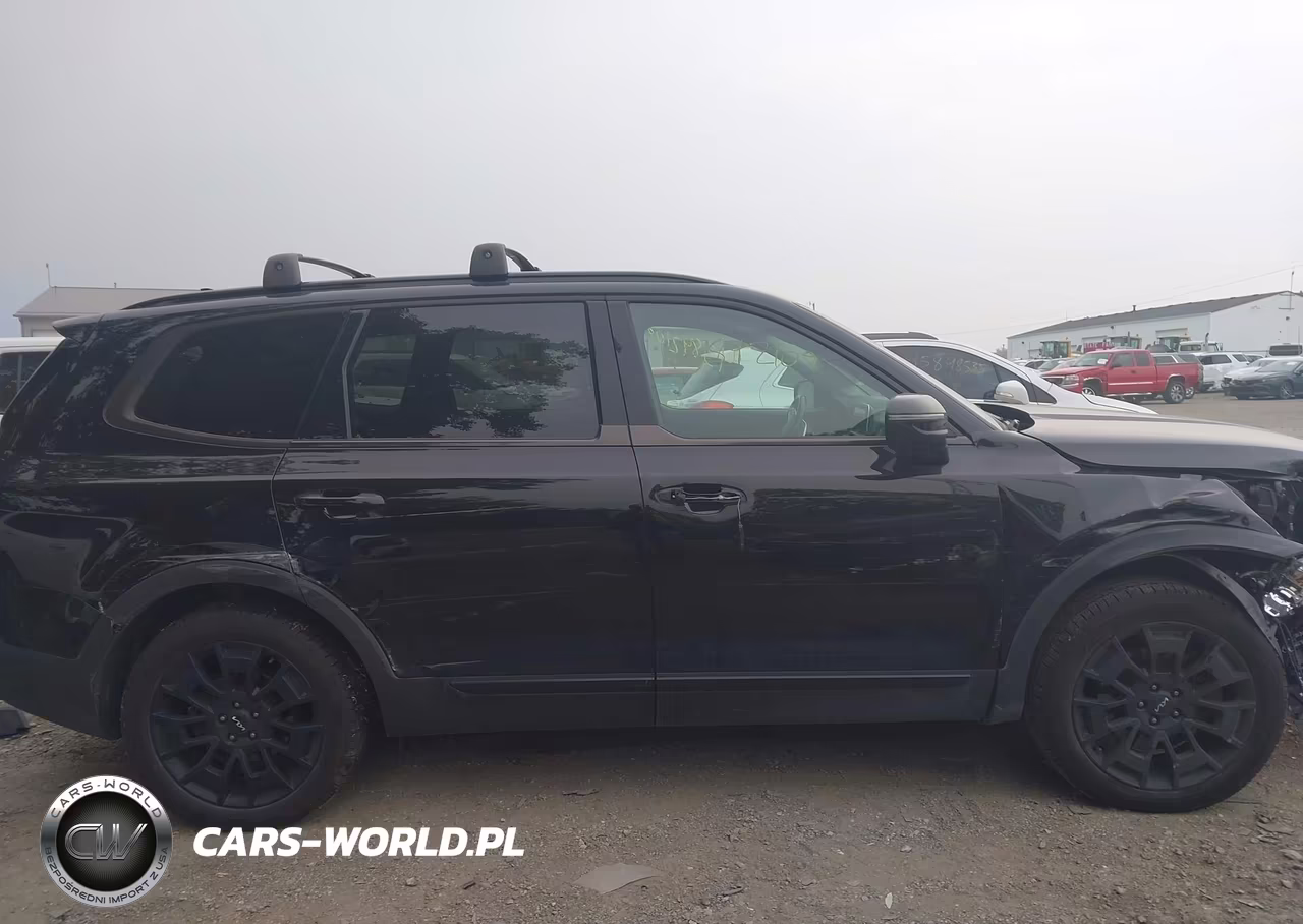 2022 Kia Telluride Ex VIN:5XYP3DHC9NG197604 - 14