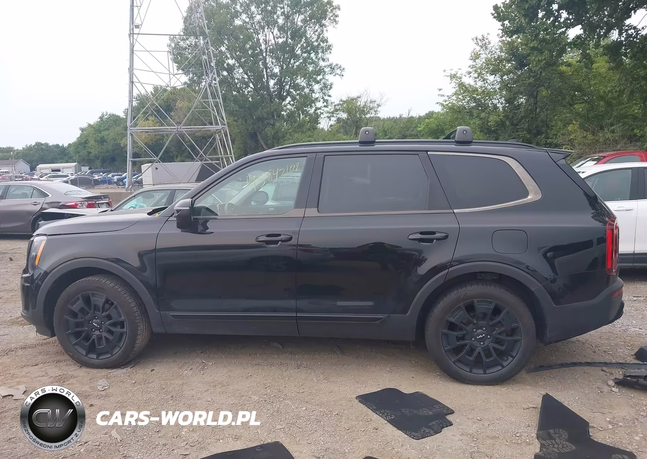 2022 Kia Telluride Ex VIN:5XYP3DHC9NG197604 - 15