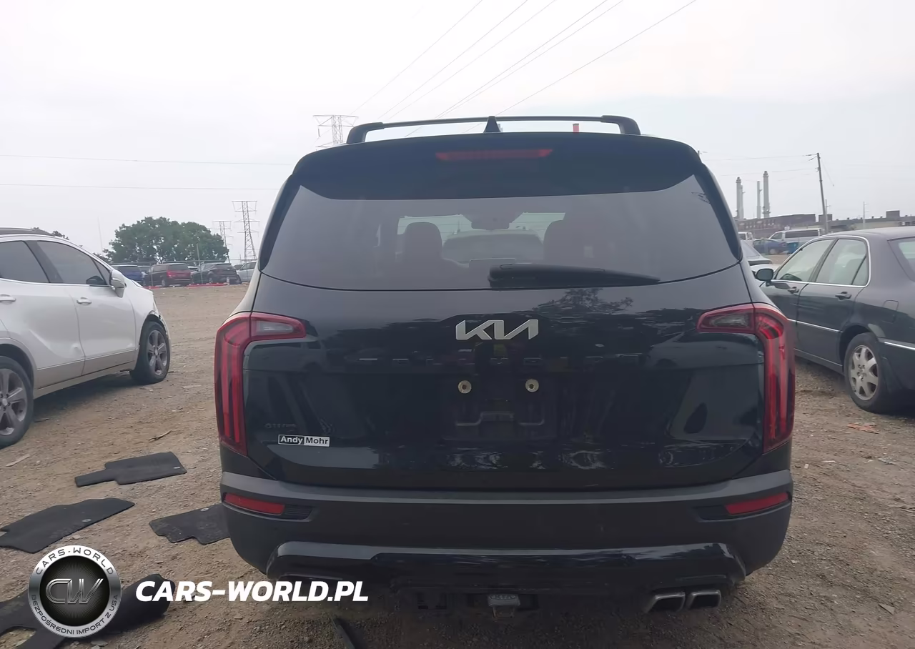 2022 Kia Telluride Ex VIN:5XYP3DHC9NG197604 - 17
