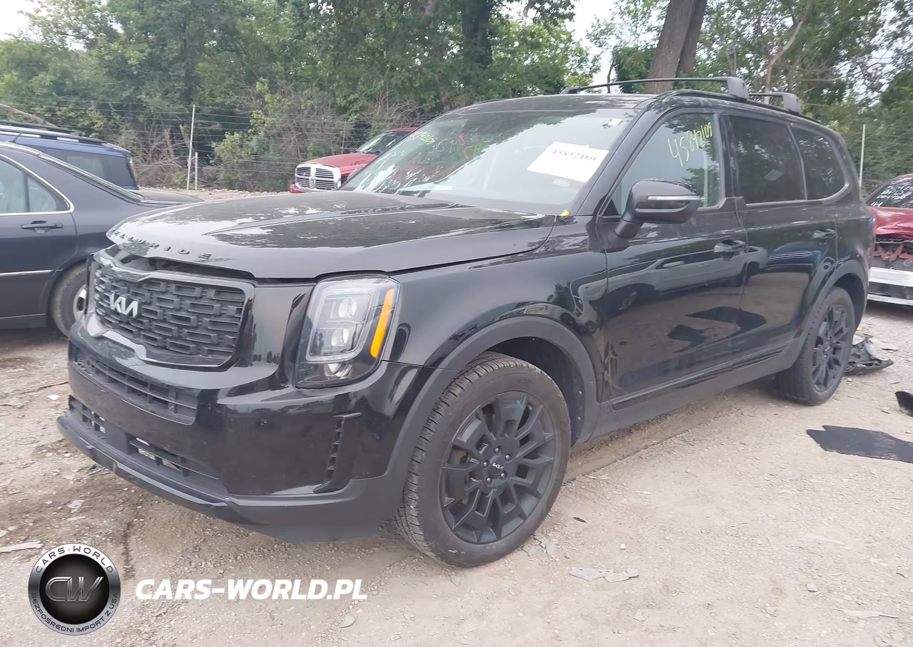 2022 Kia Telluride Ex VIN:5XYP3DHC9NG197604 - 2