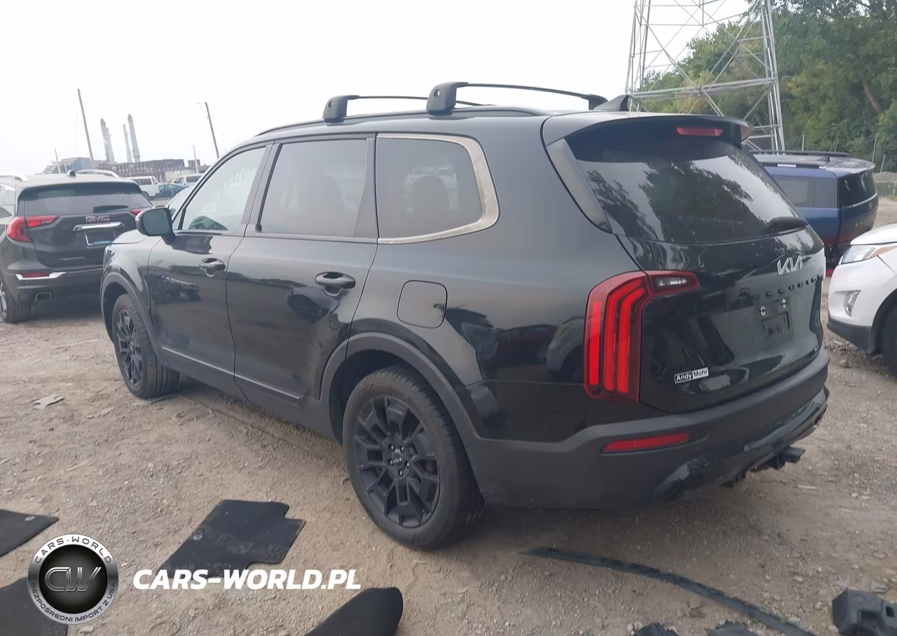 2022 Kia Telluride Ex VIN:5XYP3DHC9NG197604 - 3