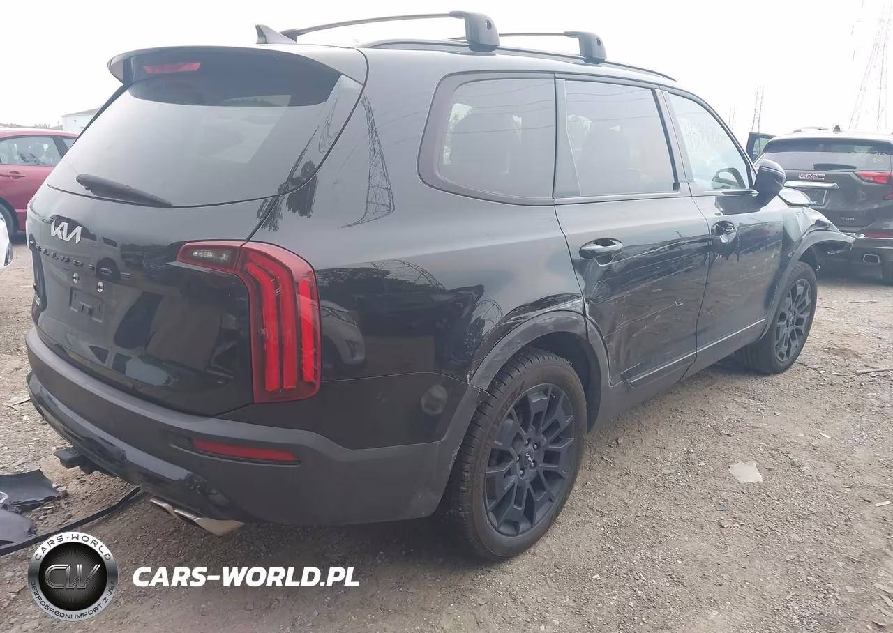 2022 Kia Telluride Ex VIN:5XYP3DHC9NG197604 - 4