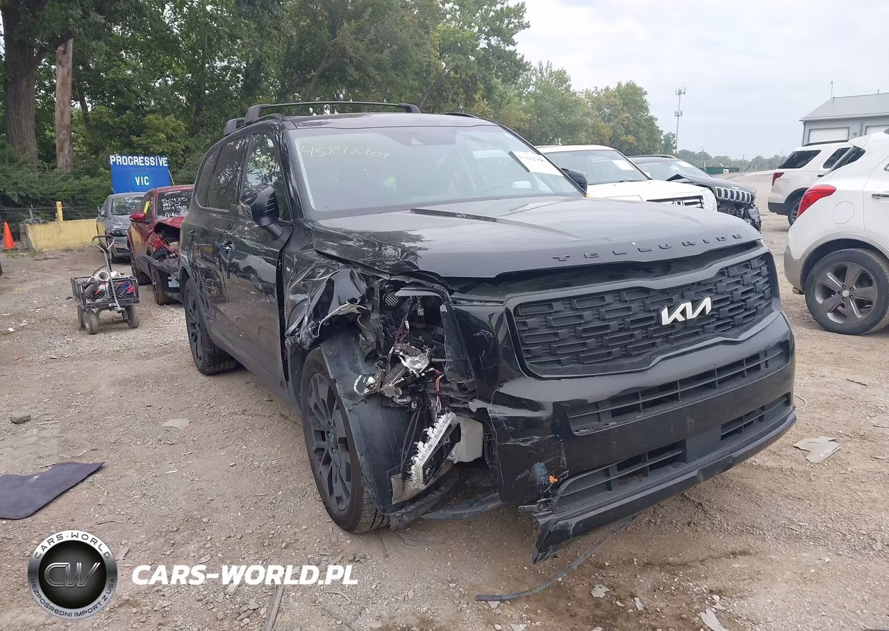 2022 Kia Telluride Ex VIN:5XYP3DHC9NG197604 - 6