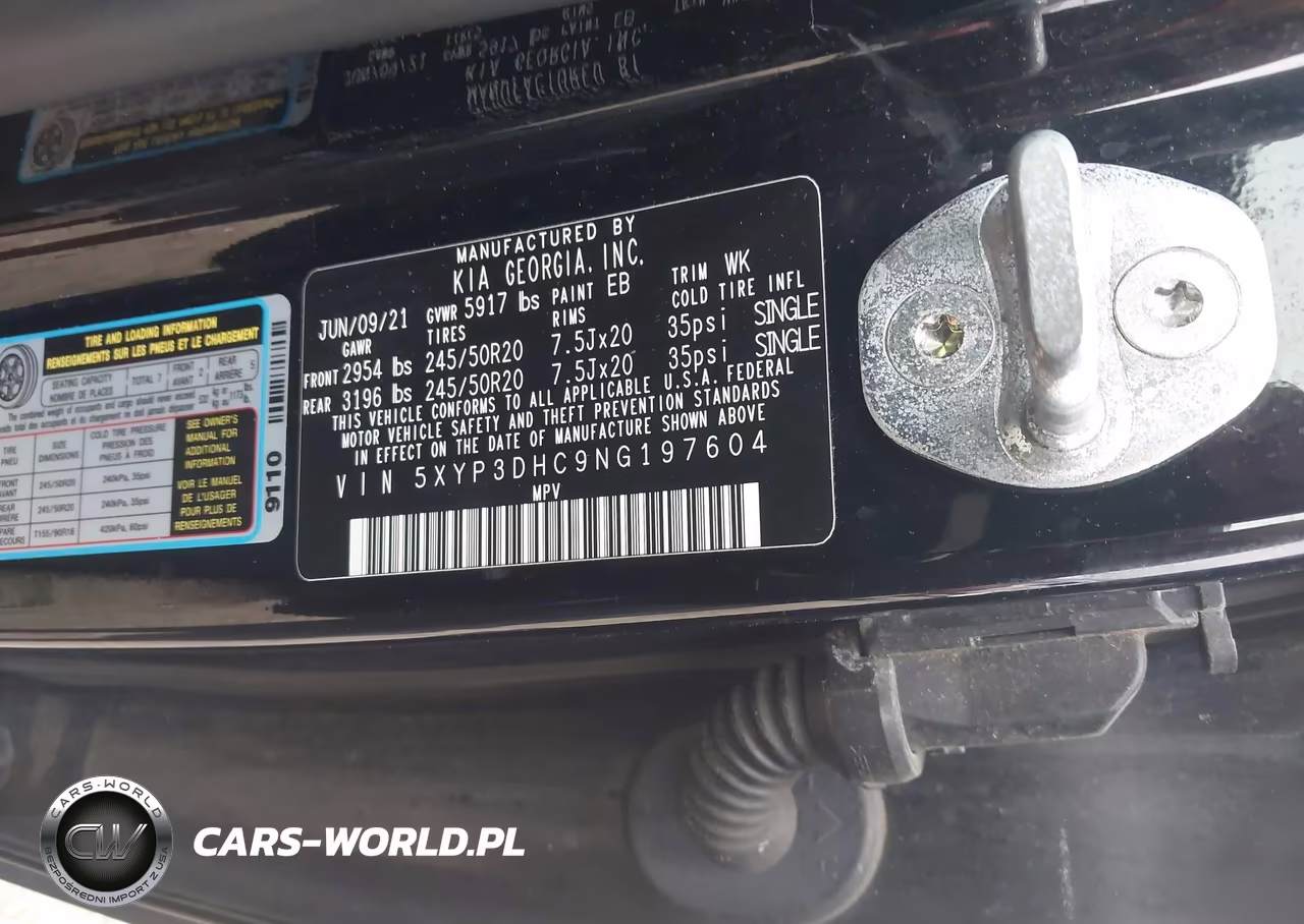 2022 Kia Telluride Ex VIN:5XYP3DHC9NG197604 - 9