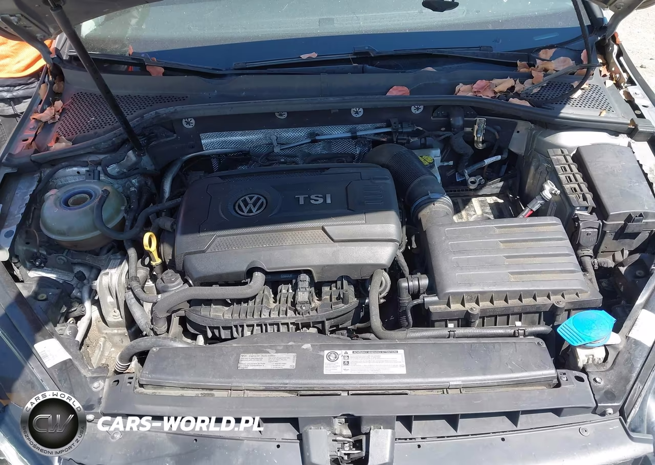 2016 Volkswagen Golf Tsi S 4-Door VIN:3VW217AU8GM020517 - 10