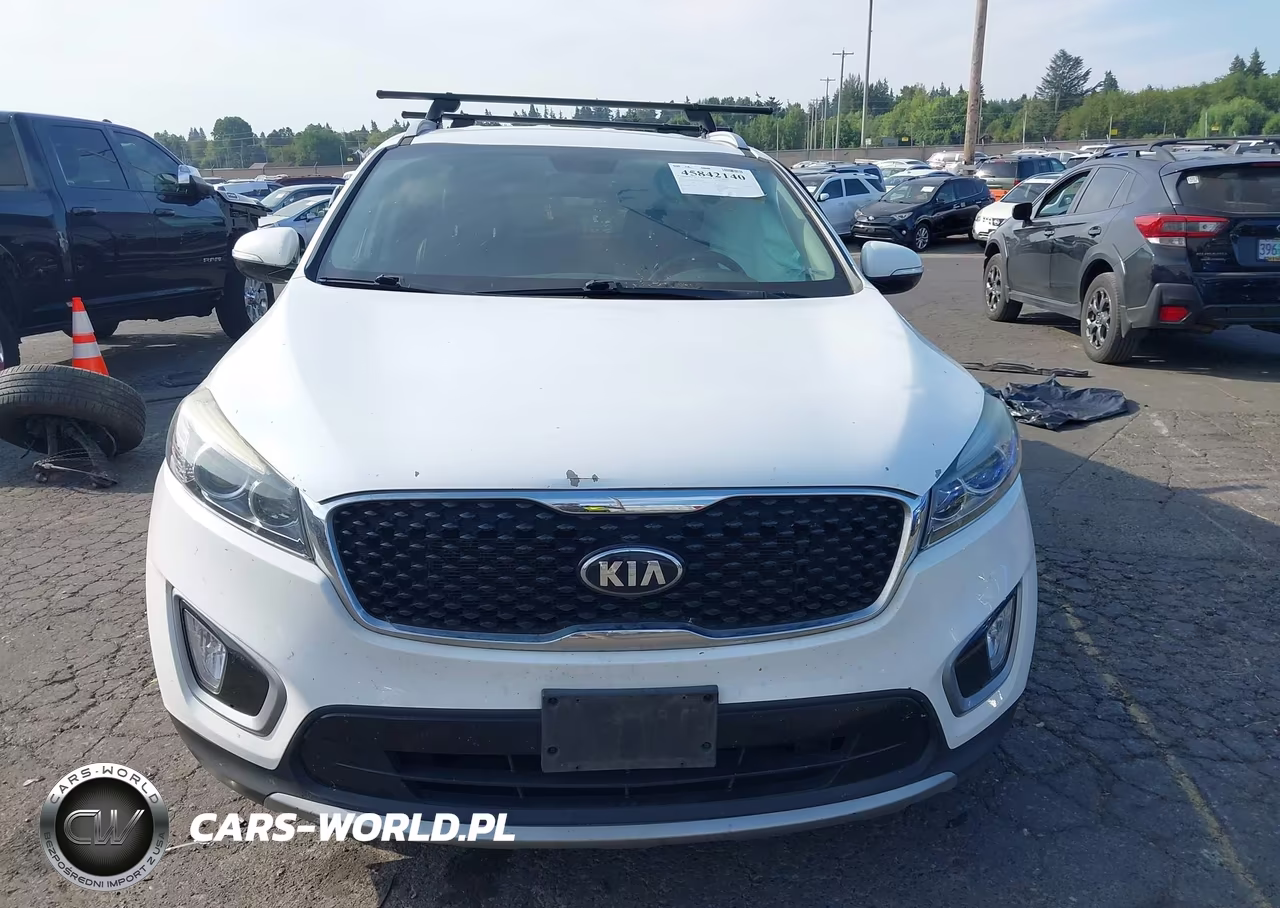 2017 Kia Sorento 3.3L Ex VIN:5XYPHDA5XHG295378 - 12
