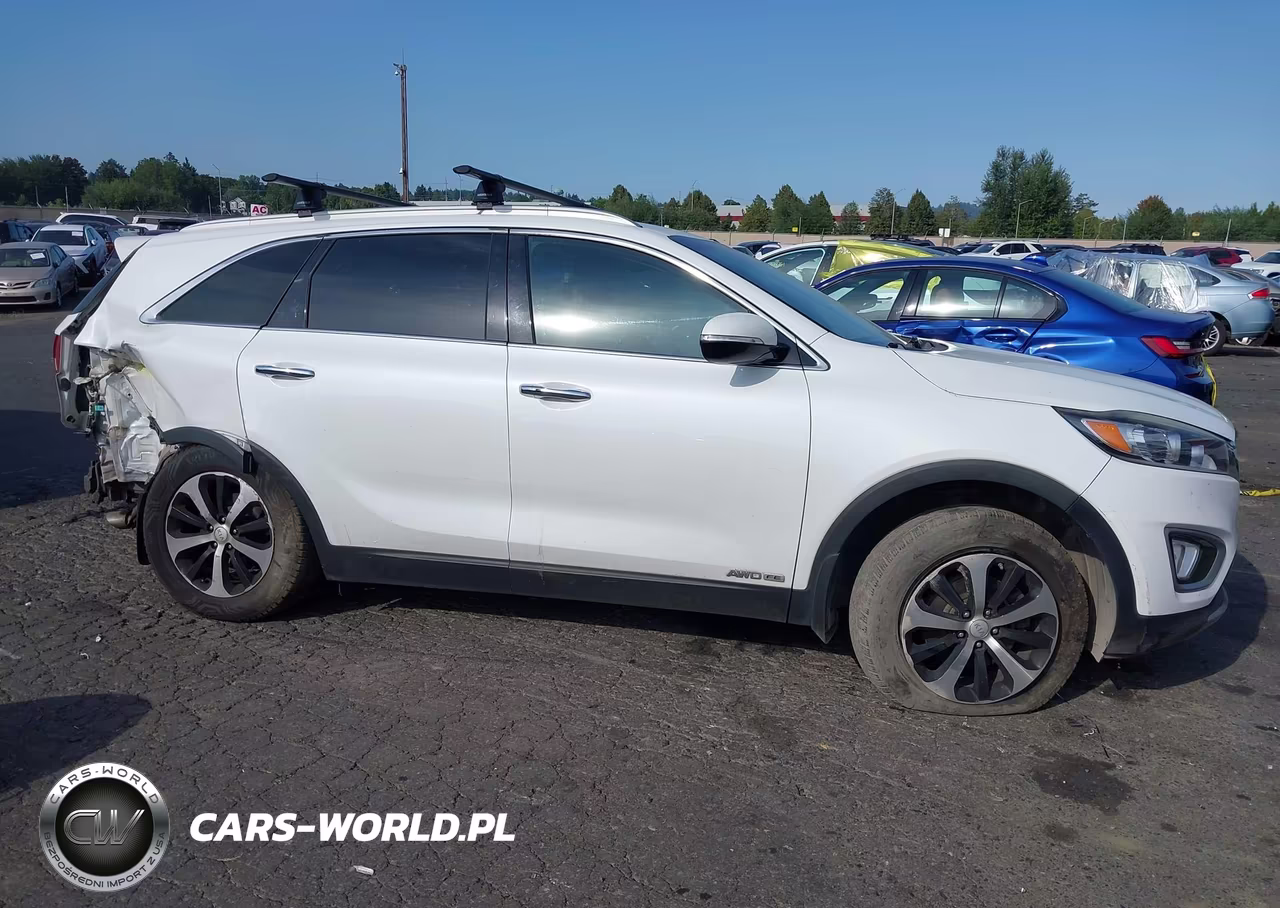 2017 Kia Sorento 3.3L Ex VIN:5XYPHDA5XHG295378 - 13