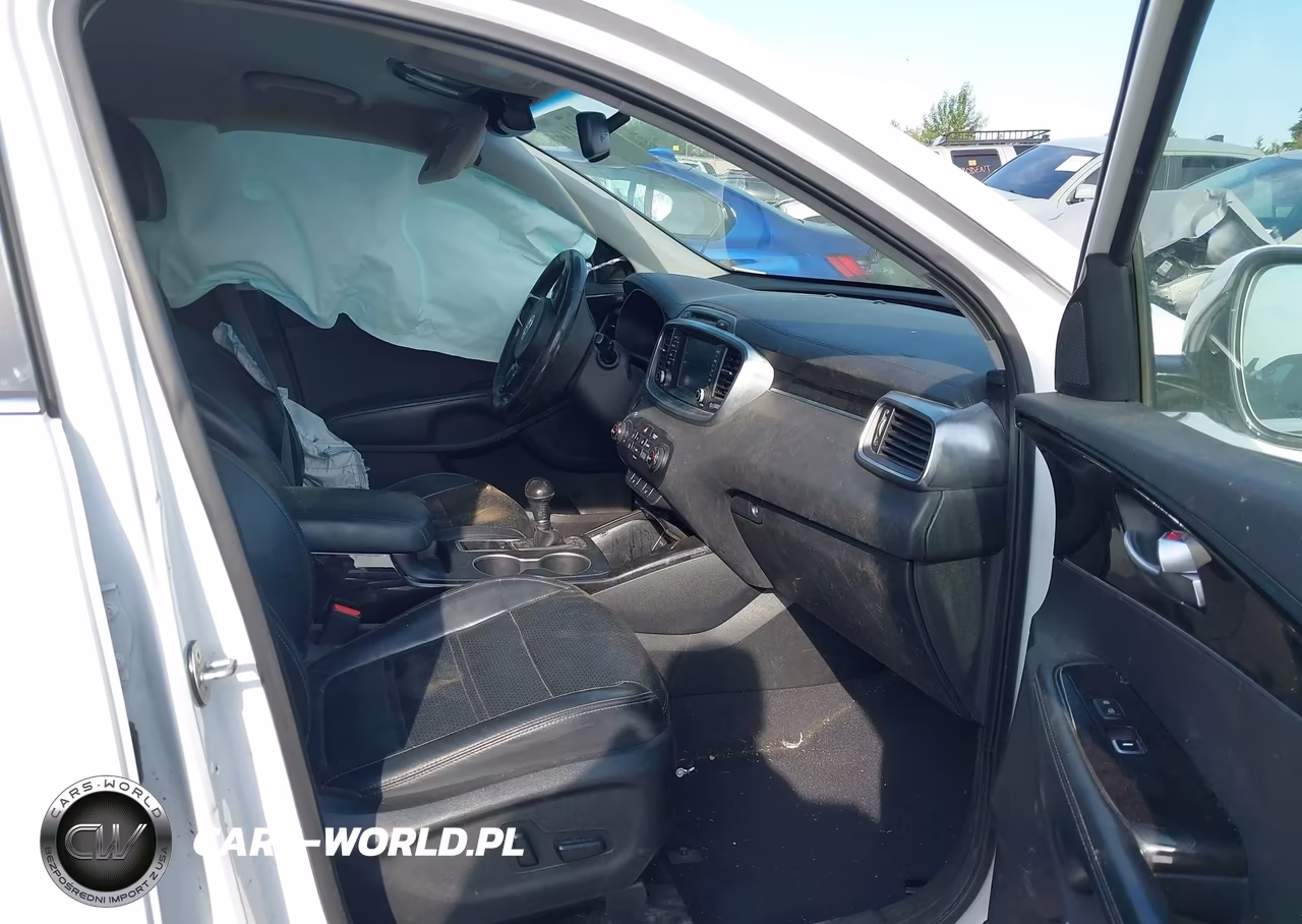 2017 Kia Sorento 3.3L Ex VIN:5XYPHDA5XHG295378 - 5