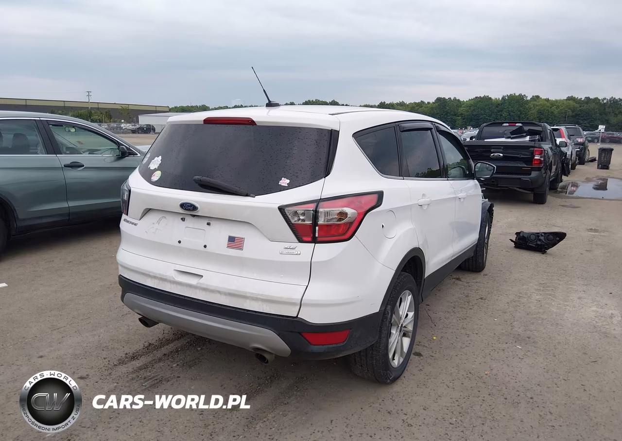 2017 Ford Escape Se VIN:1FMCU0GD0HUC46055 - 4