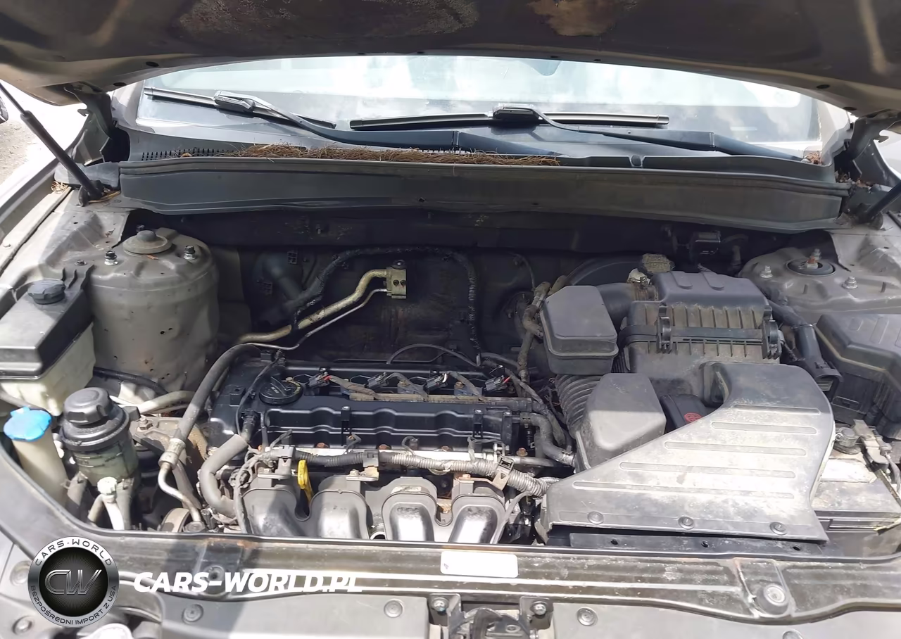 2011 Hyundai Santa Fe Gls VIN:5XYZGDAB0BG003097 - 10