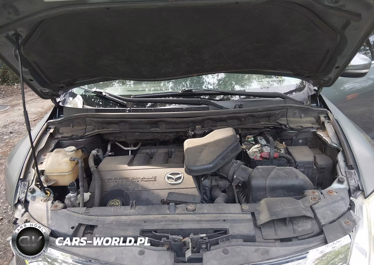 2010 Mazda Cx-9 Grand Touring VIN:JM3TB3MA7A0232695 - 10